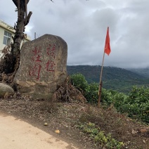 褚橙