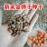 新采金弹子种子鸡血红老鸦柿种子梨形葫芦果灯泡型盆景盆栽