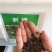 刺槐种子速生洋槐树种籽园林绿化行道树苗木灌木林木乔木蜜源