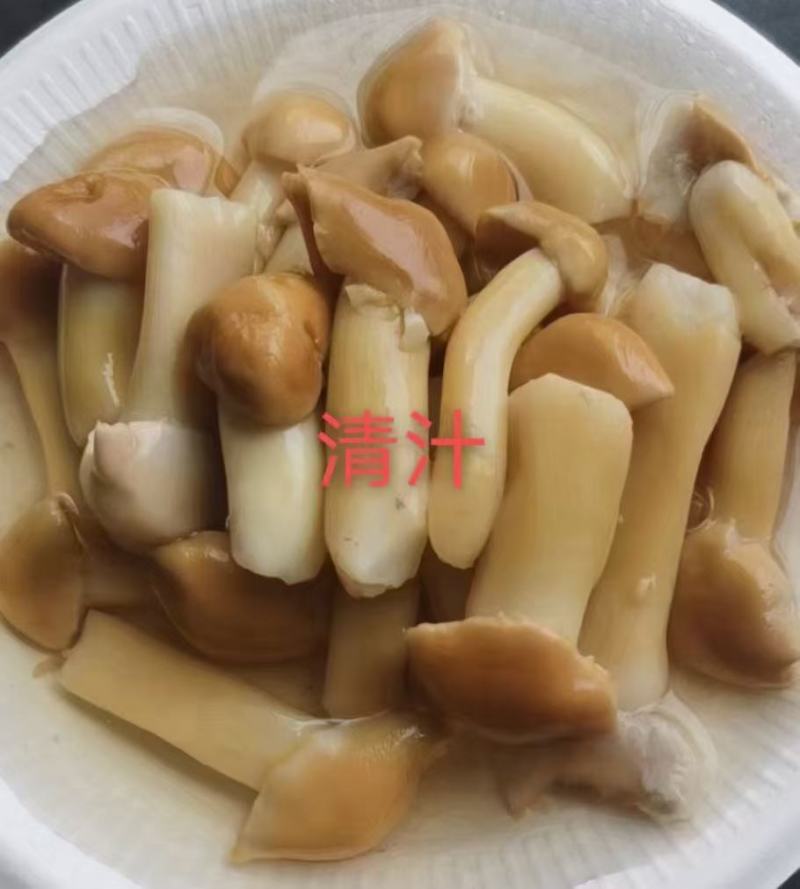 云南大球盖菇赤松茸常年做水煮冻品（云南发货）