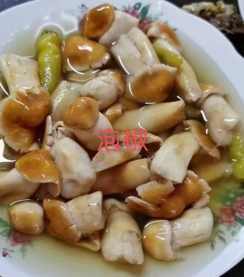 云南大球盖菇赤松茸常年做水煮冻品（云南发货）