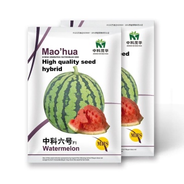 中科六号西瓜种子，抗裂不炸瓜皮色发白桃红瓤，含糖14度