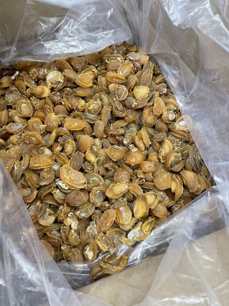 大连鲍鱼