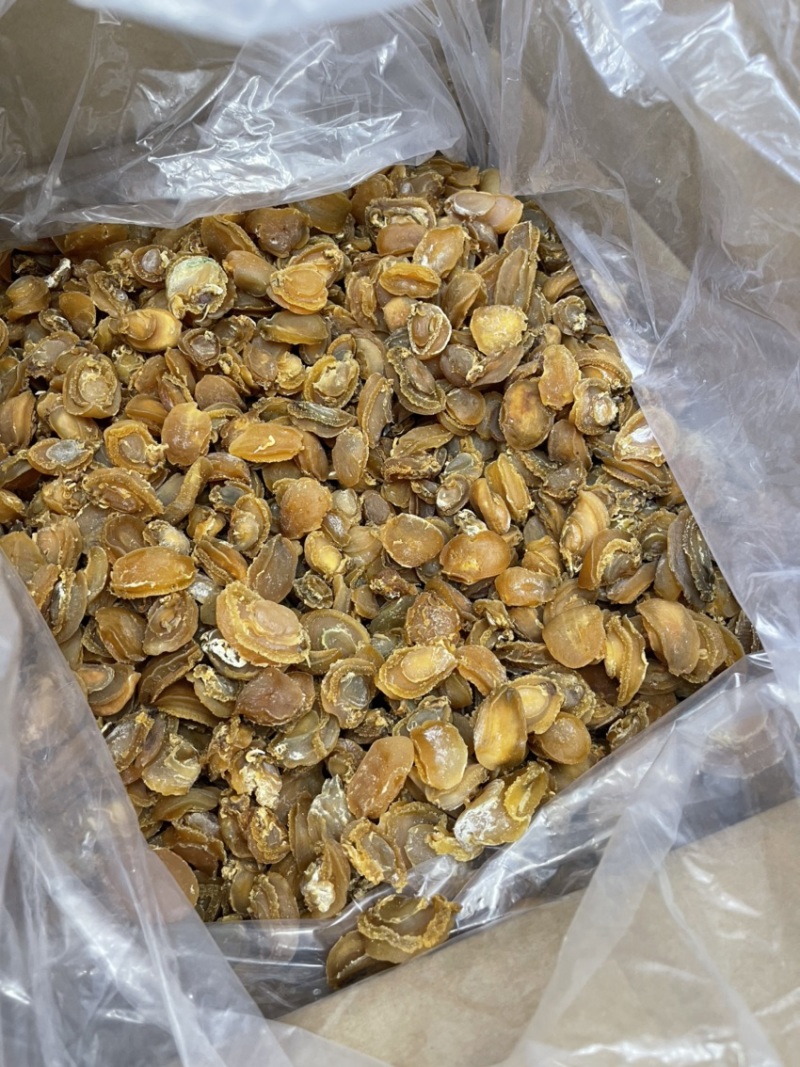 大连鲍鱼