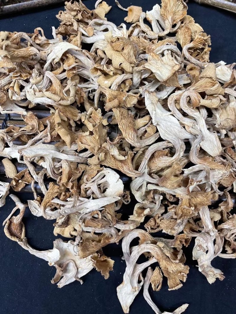 鸡油菌