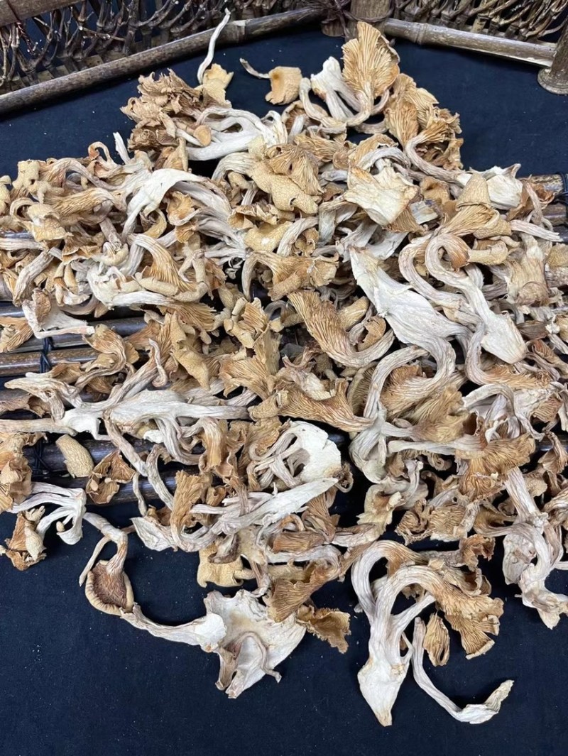 鸡油菌