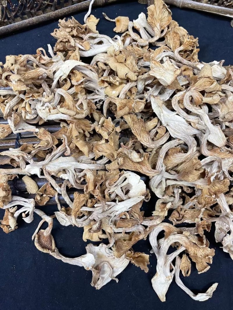 鸡油菌