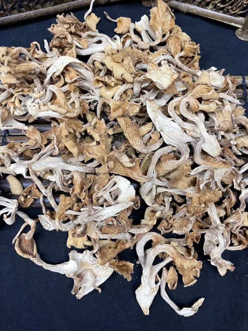 鸡油菌