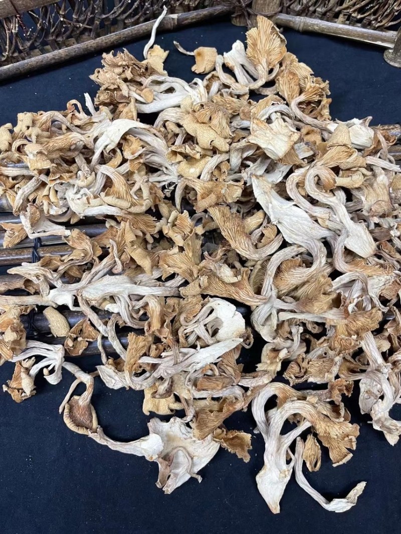 鸡油菌