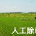 精选黑龙江五常稻花香二号稻谷当年谷，鲜米机用无杂质清选