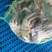 大闸蟹
