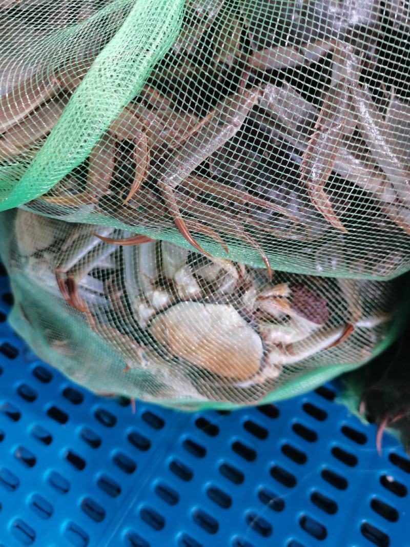 大闸蟹