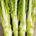 棒菜精品新鲜棒菜，质量保证！