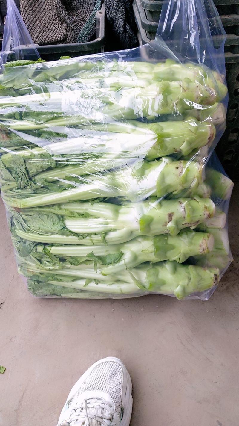 棒菜精品新鲜棒菜，质量保证！