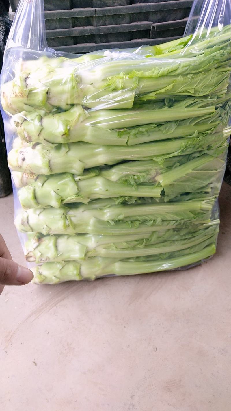 棒菜精品新鲜棒菜，质量保证！