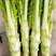 棒菜精品新鲜棒菜，质量保证！