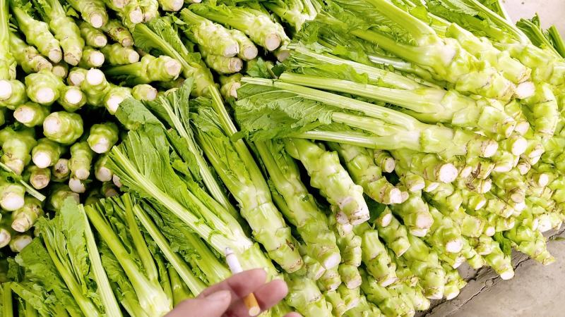 棒菜精品新鲜棒菜，质量保证！