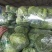 湖北甘蓝质量好包心实货源充足一手货源诚信经营
