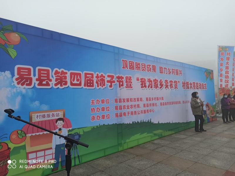 河北保定大量优质磨盘柿，柿子产地直发，可现场看货！