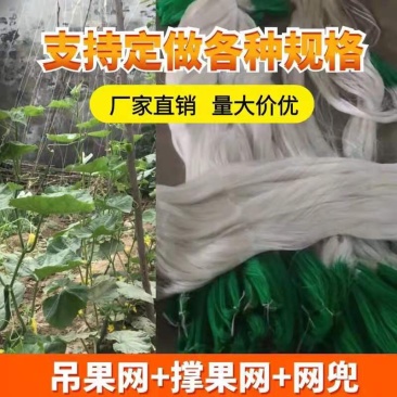 爬藤网加粗六股九股5米宽