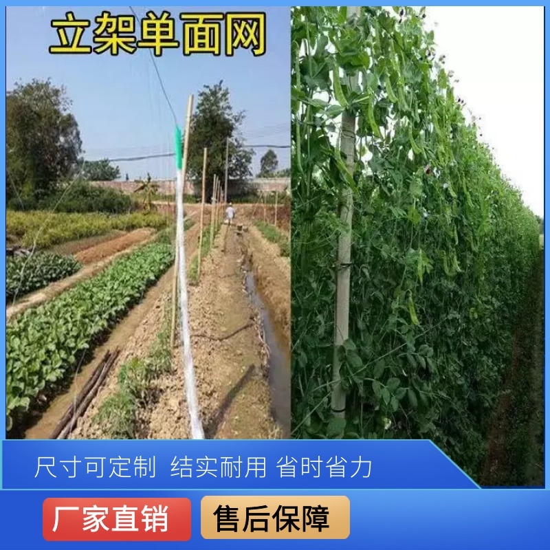 爬藤网加粗六股九股5米宽