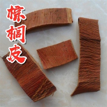 棕榈皮棕榈碳棕榈子干货农副产品