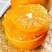 【热销】湖北橙子九月红果冻橙果肉细腻水分充足的秭归县脐橙
