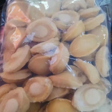 熟鲍鱼