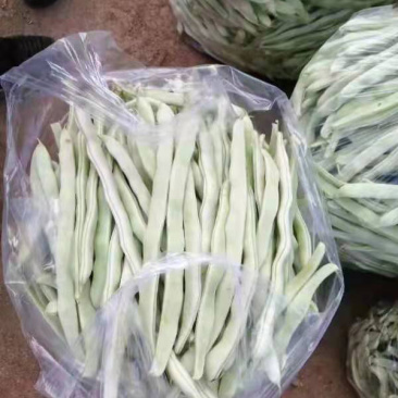 精品白豆，自家暖棚，自产自销，需要的老板联系我