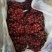 河北大量克伦生葡萄上市，230g～1000g