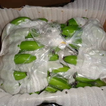 云南香蕉大量上市，果面干净，有喜欢的的快点咨询。