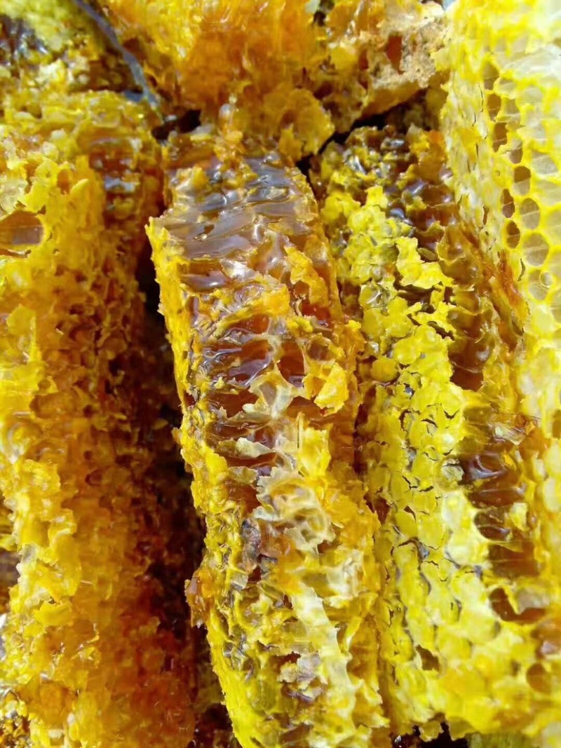 纯正野生土蜂蜜百花蜜野生蜂蜜双十一特惠