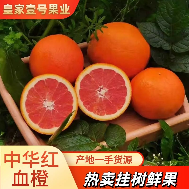 1️⃣中华红血橙可视频看货水分充足口感纯甜