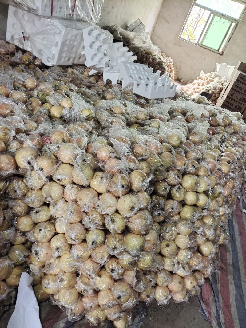 临潼精品石榴5-6两石榴