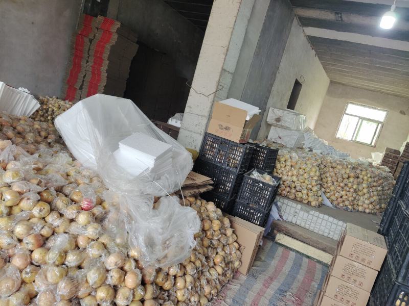 临潼精品石榴5-6两石榴