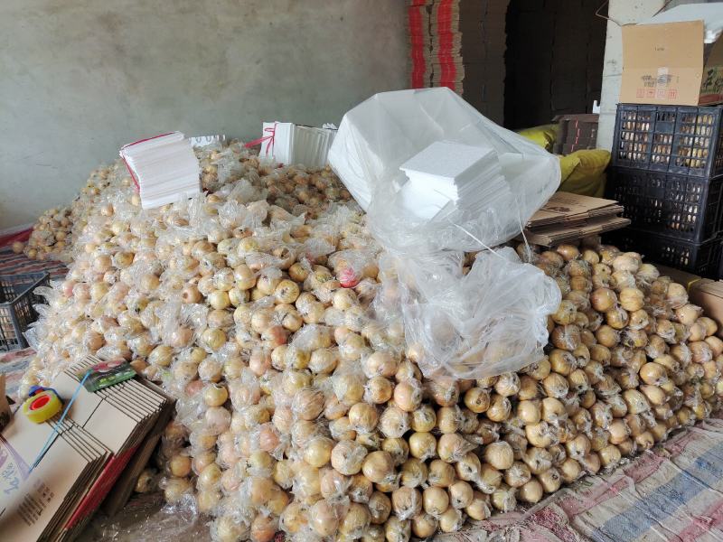 临潼精品石榴5-6两石榴