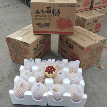 临潼精品石榴5-6两石榴