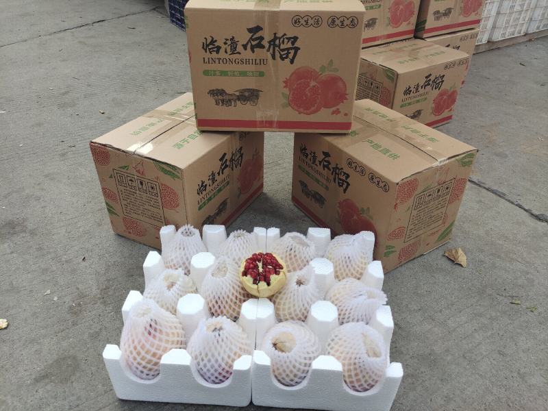 临潼精品石榴5-6两石榴