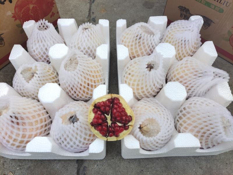 临潼精品石榴5-6两石榴
