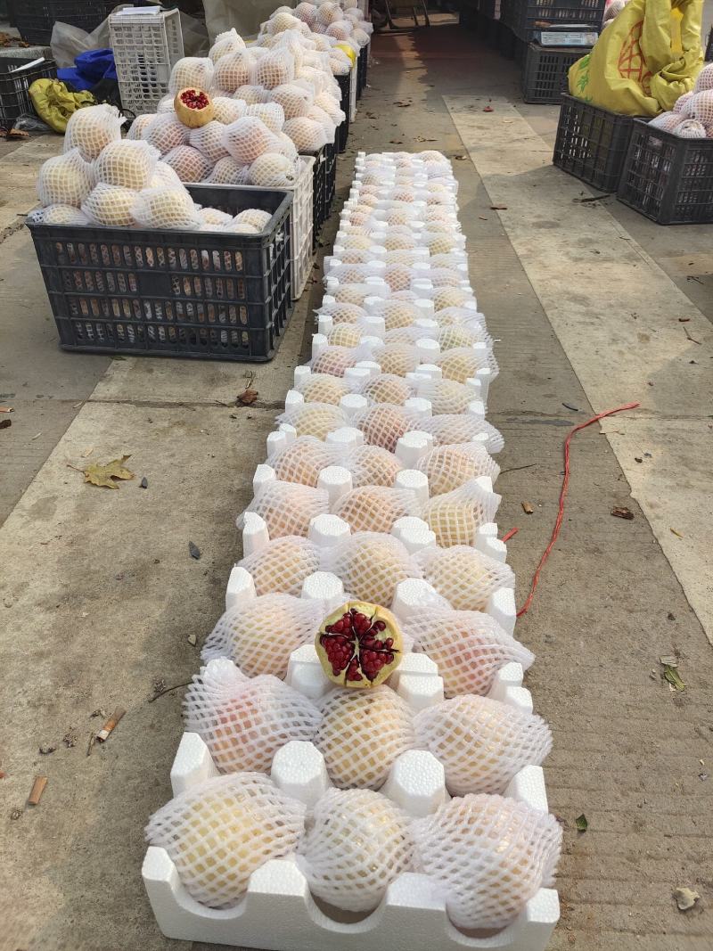 临潼精品石榴5-6两石榴
