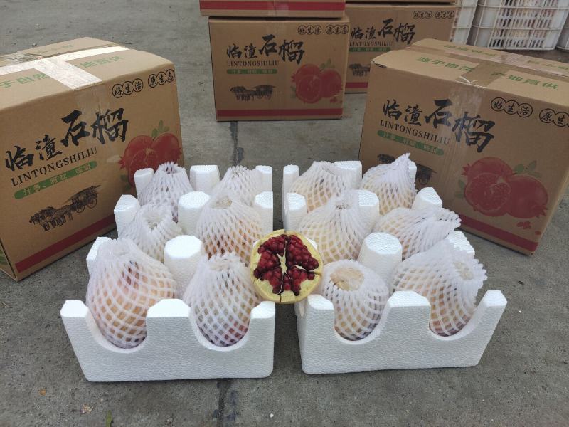 临潼精品石榴5-6两石榴