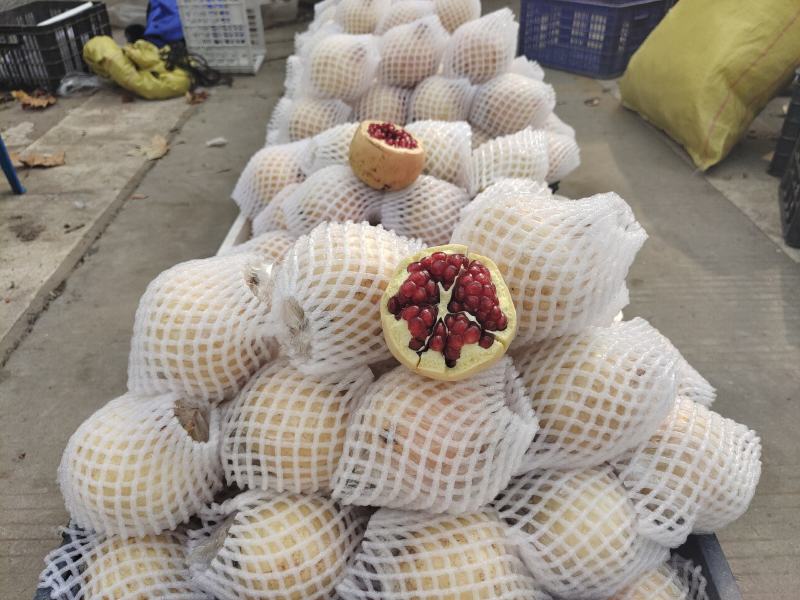 临潼精品石榴5-6两石榴