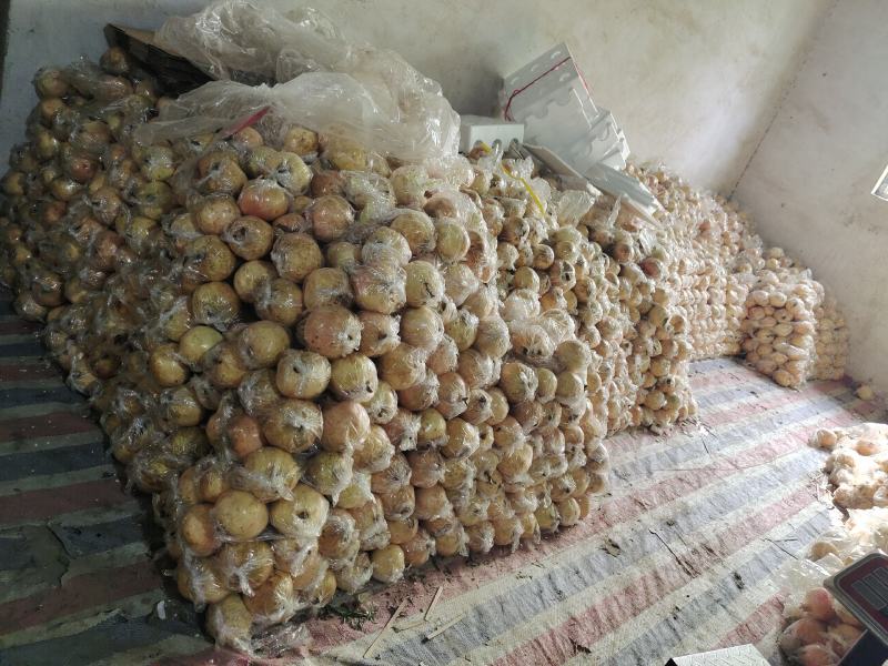 临潼精品石榴5-6两石榴