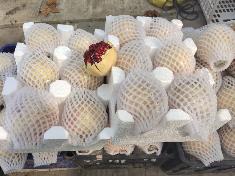 临潼精品石榴5-6两石榴