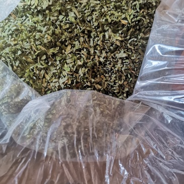 鸡骨草叶子