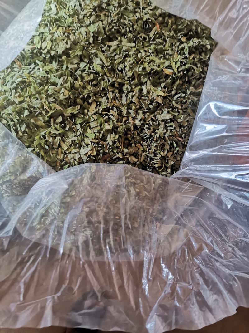 鸡骨草叶子