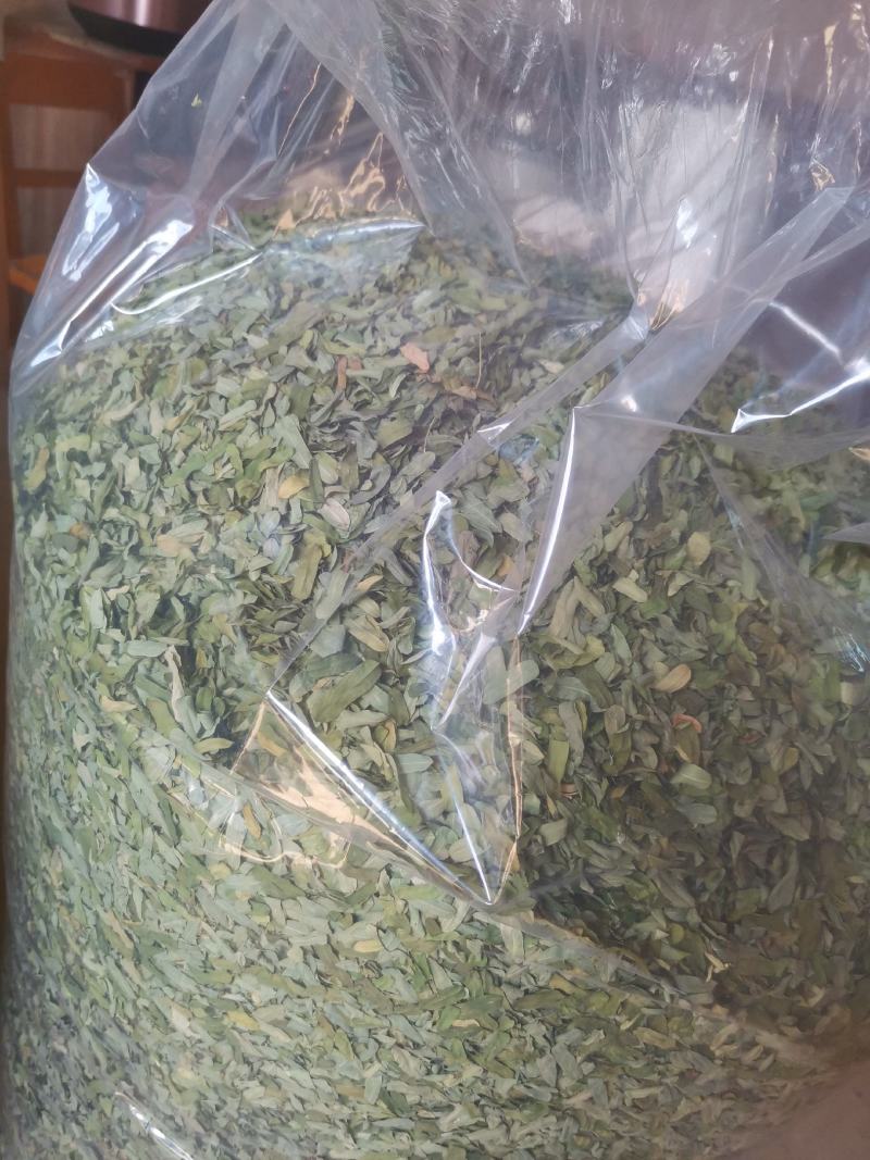 鸡骨草叶子