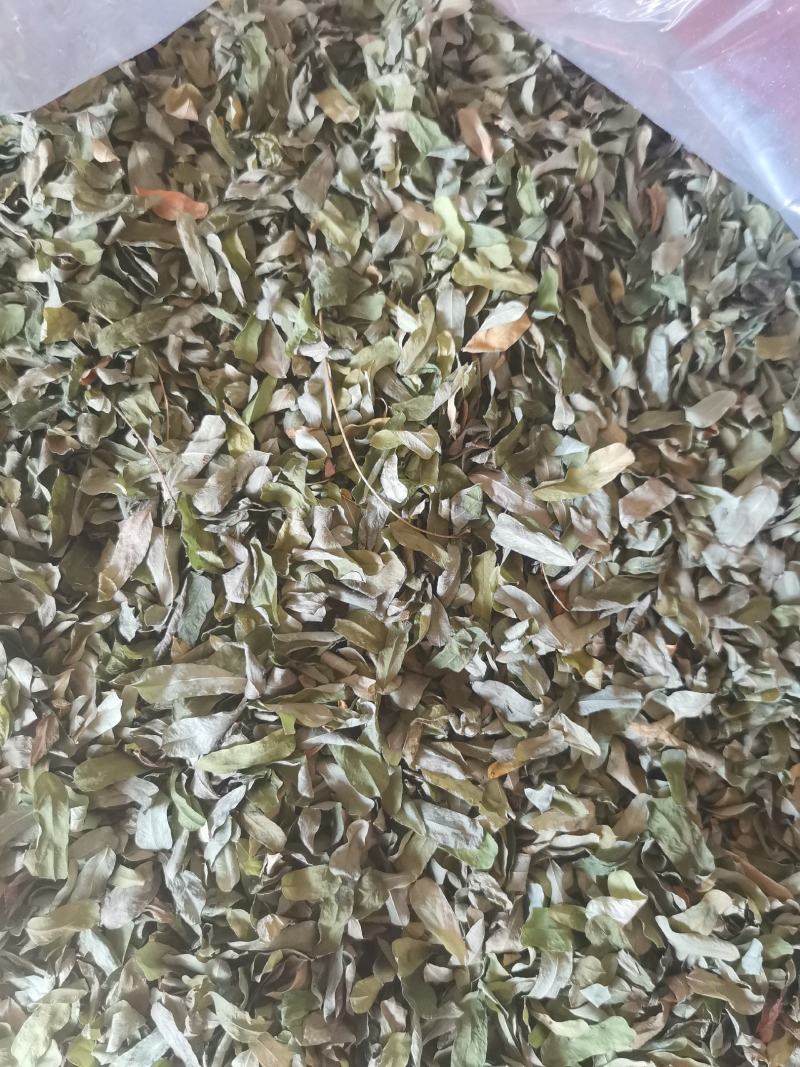 鸡骨草叶子