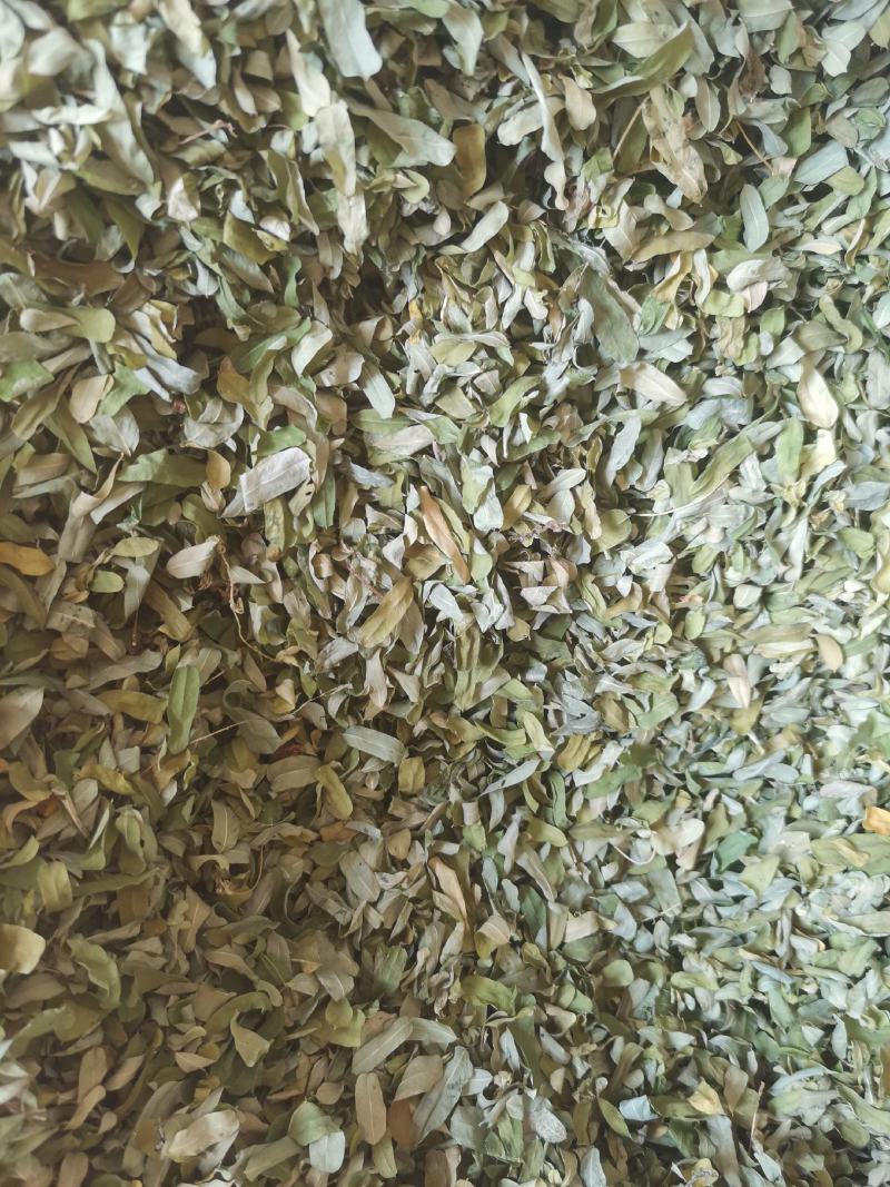 鸡骨草叶子