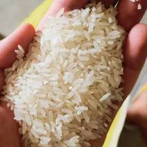 新大米，小软米，粳米，籼米